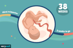 هفته چهل و یکم بارداری+فیلم هفته 41 بارداری