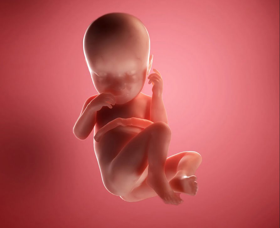 هفته چهلم بارداری+فیلم هفته 40 بارداری -هفته چهل بارداری