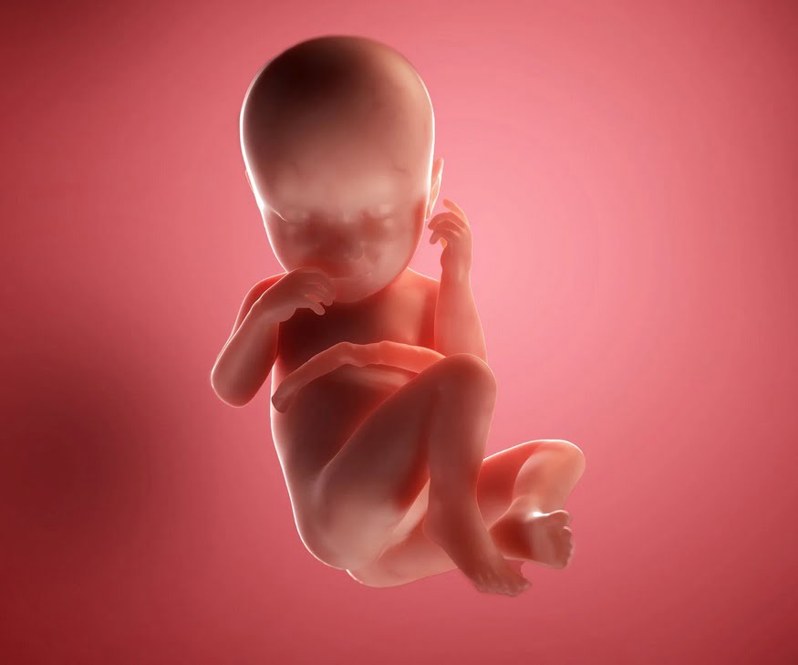 هفته سی و هفتم بارداری+فیلم هفته 37 بارداری -هفته سی و هفت