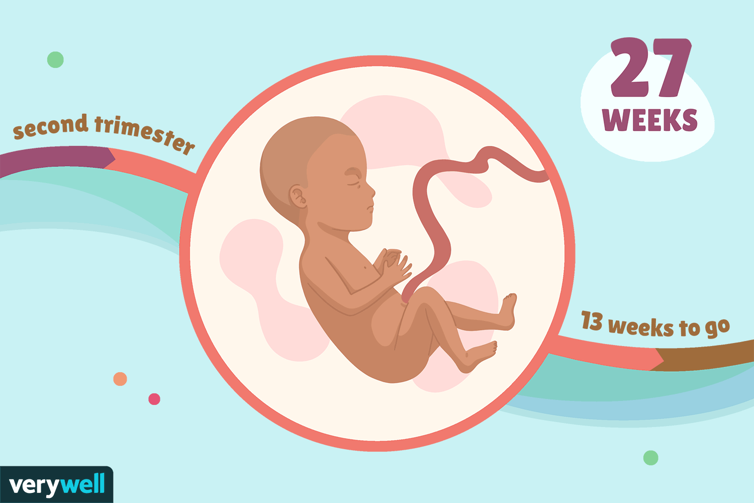 هفته 27 بارداری (2)