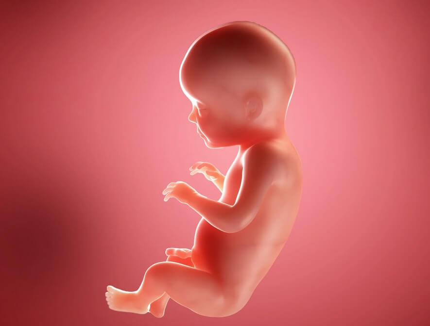 هفته بیست و هشتم بارداری+فیلم هفته 28 بارداری