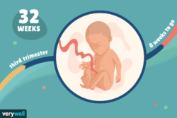 هفته سی و دوم بارداری+فیلم هفته 32 بارداری -هفته سی و دو