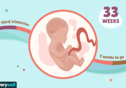 هفته سی و دوم بارداری+فیلم هفته 32 بارداری -هفته سی و دو