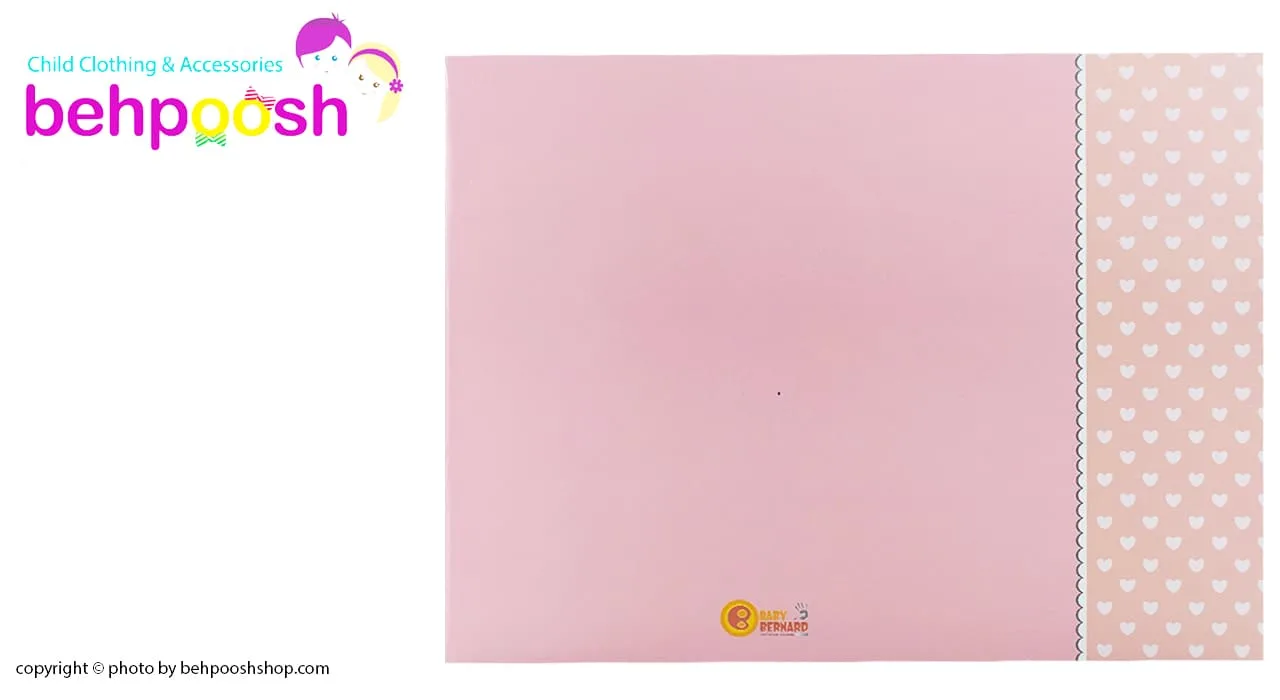 آلبوم خاطرات کودک روزی روزگاری برهمند Baby Bernard