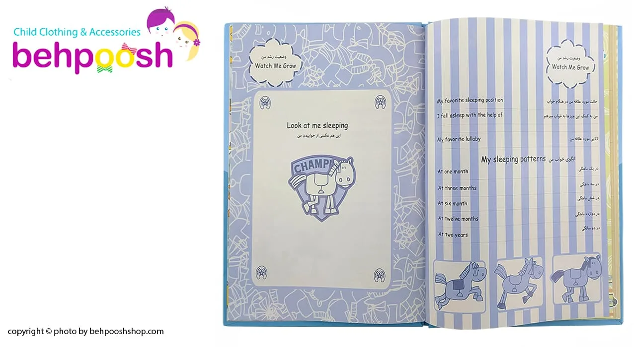 آلبوم عکس و دفتر خاطرات نوزادی طرح قو تاجدار