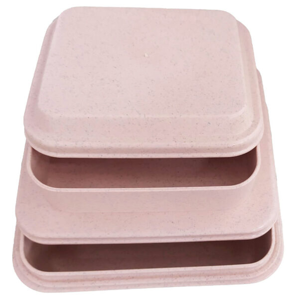 ظرف غذا کودک گیاهی چهار تکه مربعی