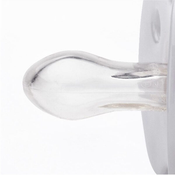 پستانک دو عددی کلاسیک 6-18 ماه دلفین و لاک پشت اونت Avent