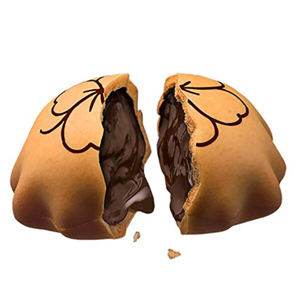 بیسکوییت کرمدار شکلاتی 40 گرمی بیسکولاتا Biscolata mood2