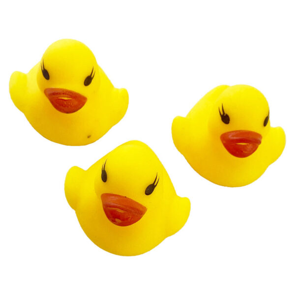 پوپت (تاتی) مرغابی تیوپ دار2