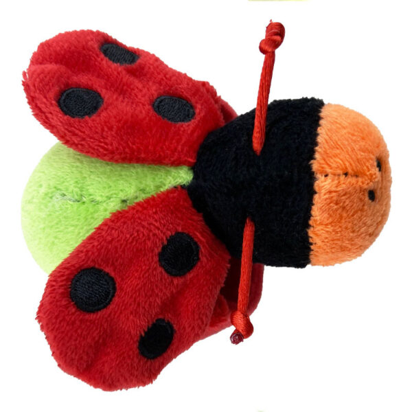 مچ بند جغجغه ای کفشدوزک کارترز Carters3