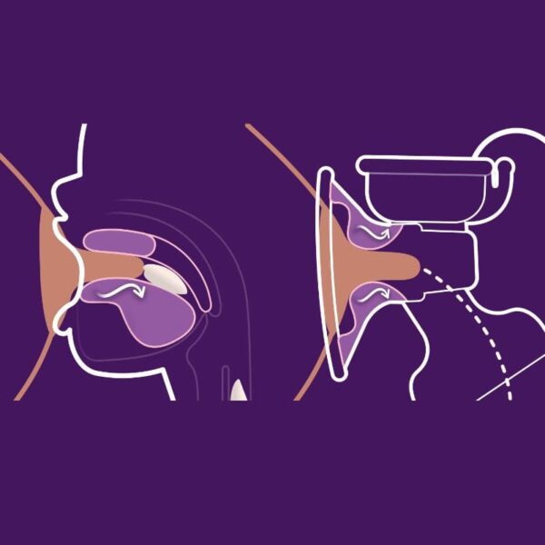 نحوه کار شیردوش برقی