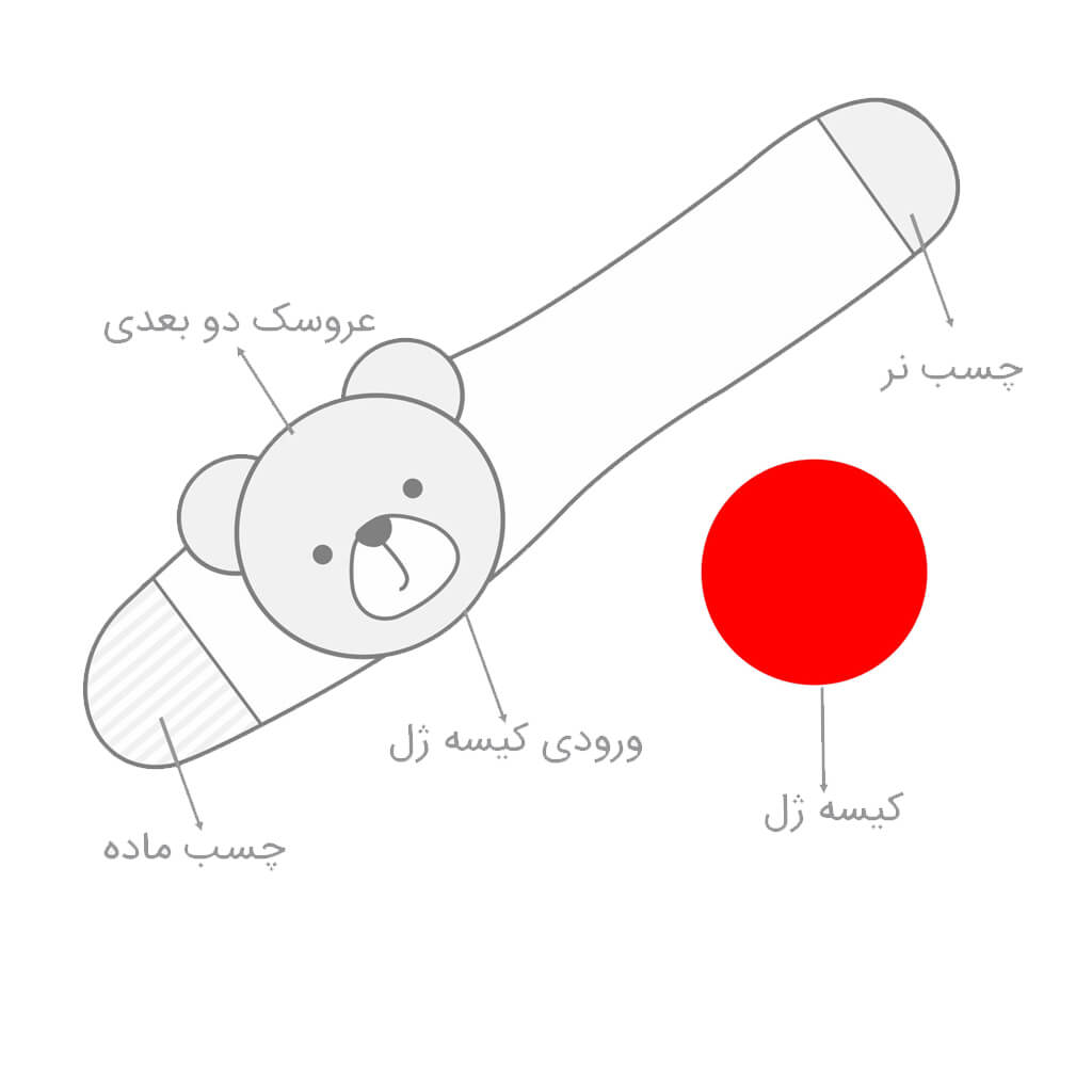 کمربند آنتی کولیک عشق بی پایان دخترانه رزبرن Rose Born Endless Love Girl
