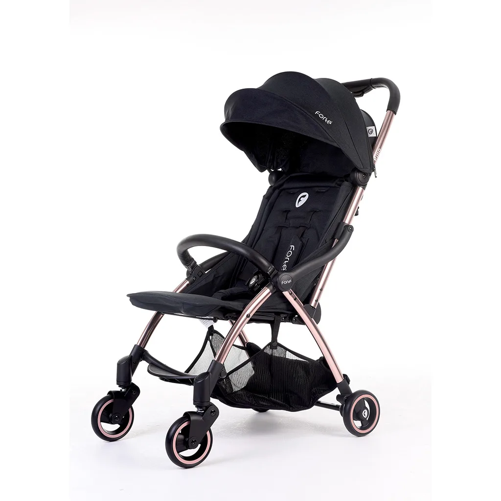 ست کالسکه کریر فورته Travel مسافرتی دسته چرم عصایی ایتالیایی Forte