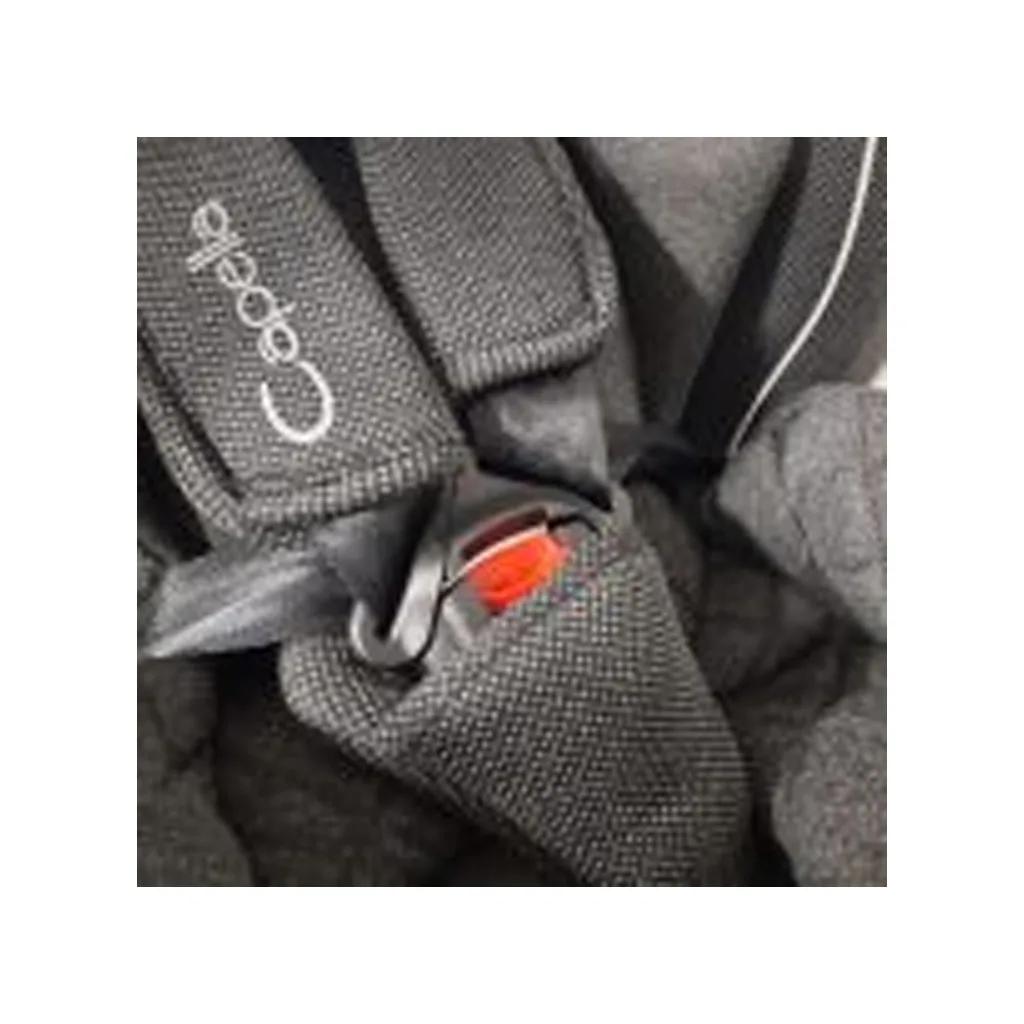 صندلی ماشین 360درجه ایزوفیکس کاپلا کج راه 36کیلو 0تا12 سال Capella Ako