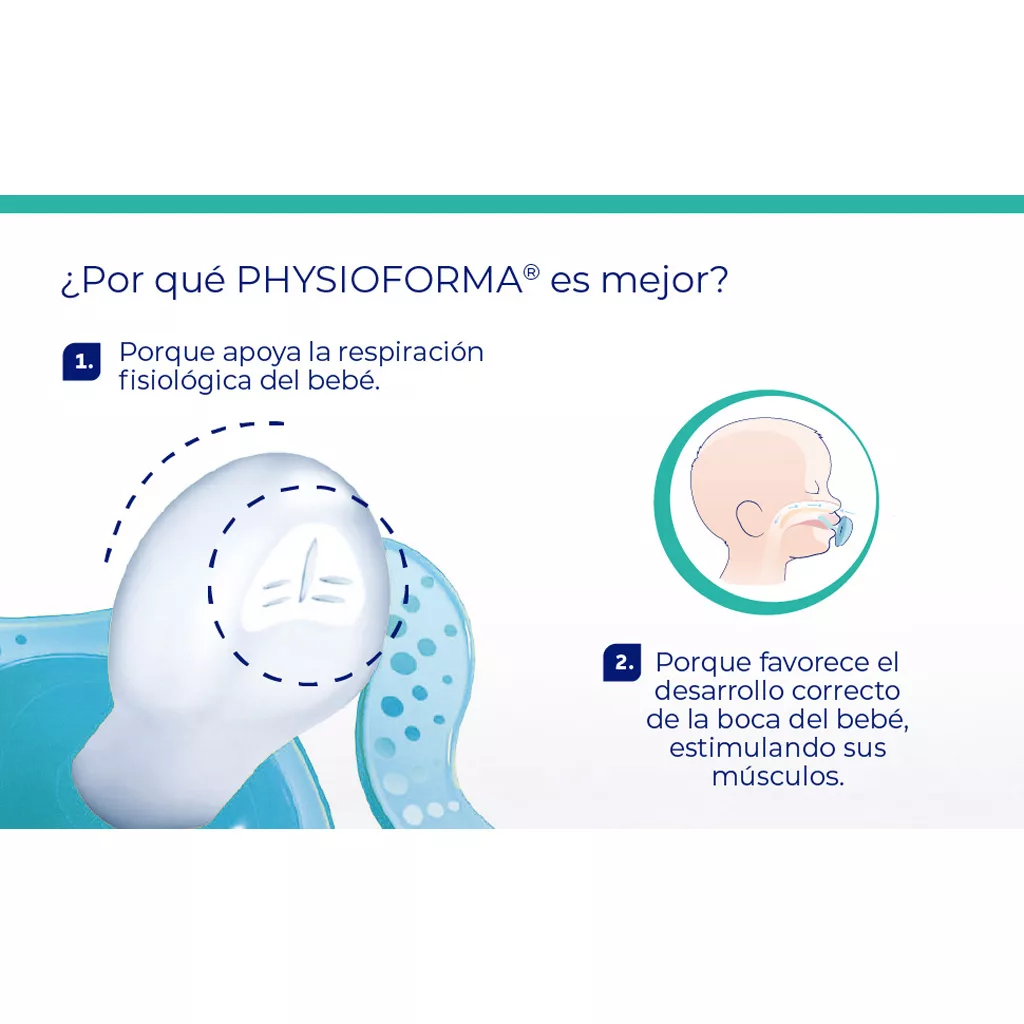 پستانک 2عددی فیزیو فورما Physio Forma جوجه تیغی قاصدک 16-6ماه چیکو Chicco