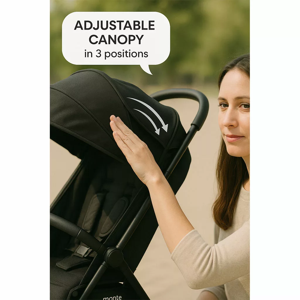 کالسکه مسافرتی کابین سایز تاشو مونته دسته عصایی بدنه مشکی Monte